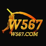 W567 Game